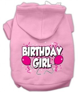 a birthday girl hoody
